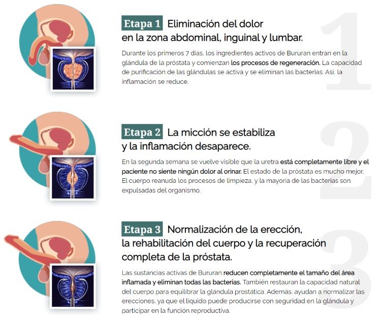 como funciona bururan 1