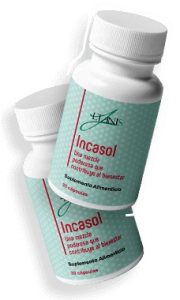incasol featured image 1