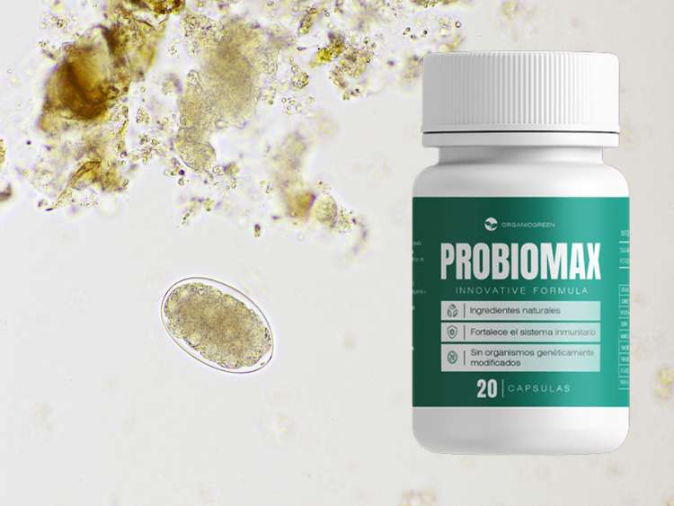 Probiomax precio farmacia guadalajara del ahorro