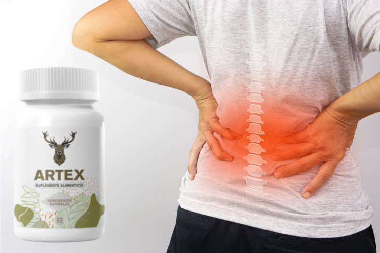 Artex precio farmacia guadalajara del ahorro